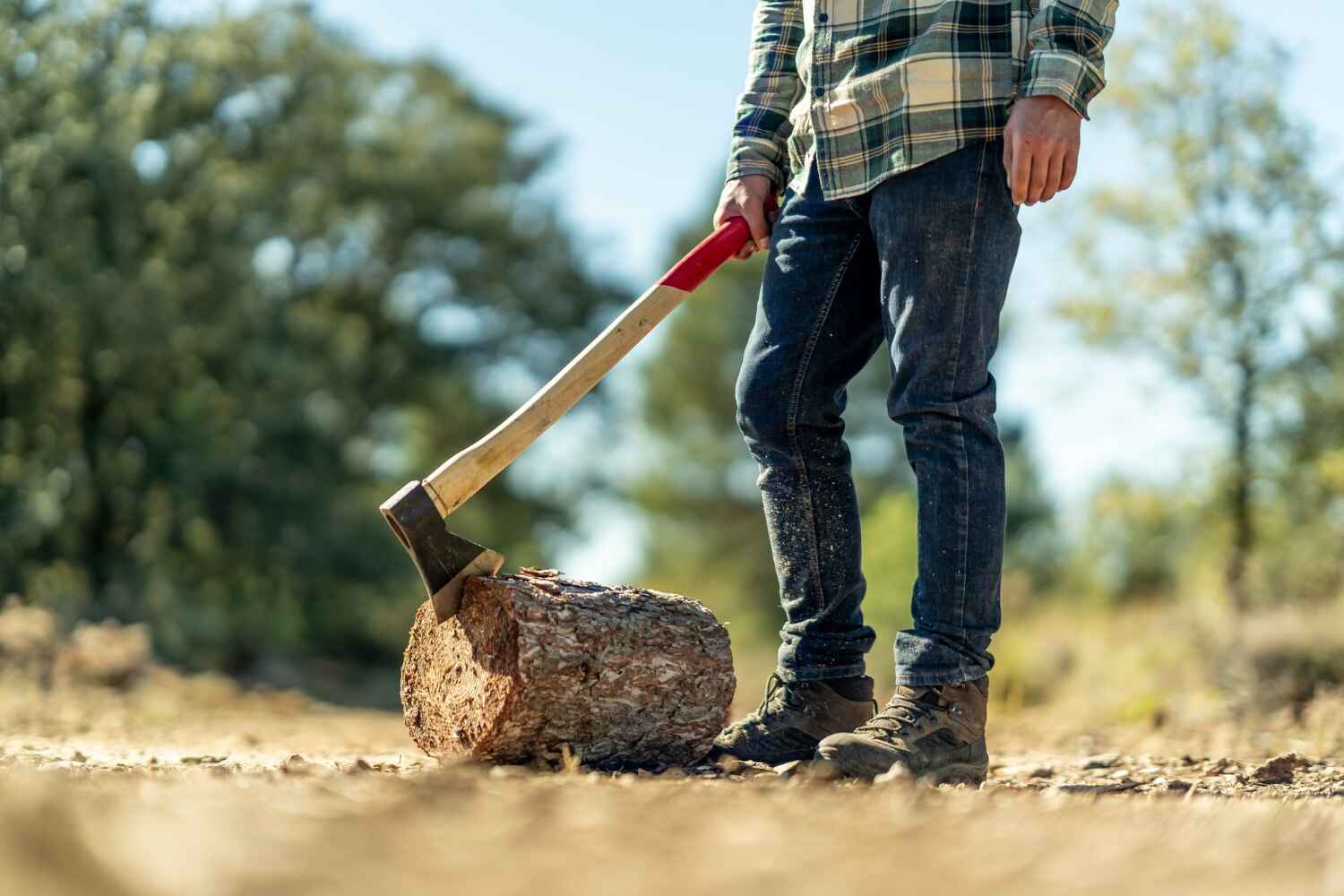 Best Stump Grinding Near Me  in Oaklyn, NJ